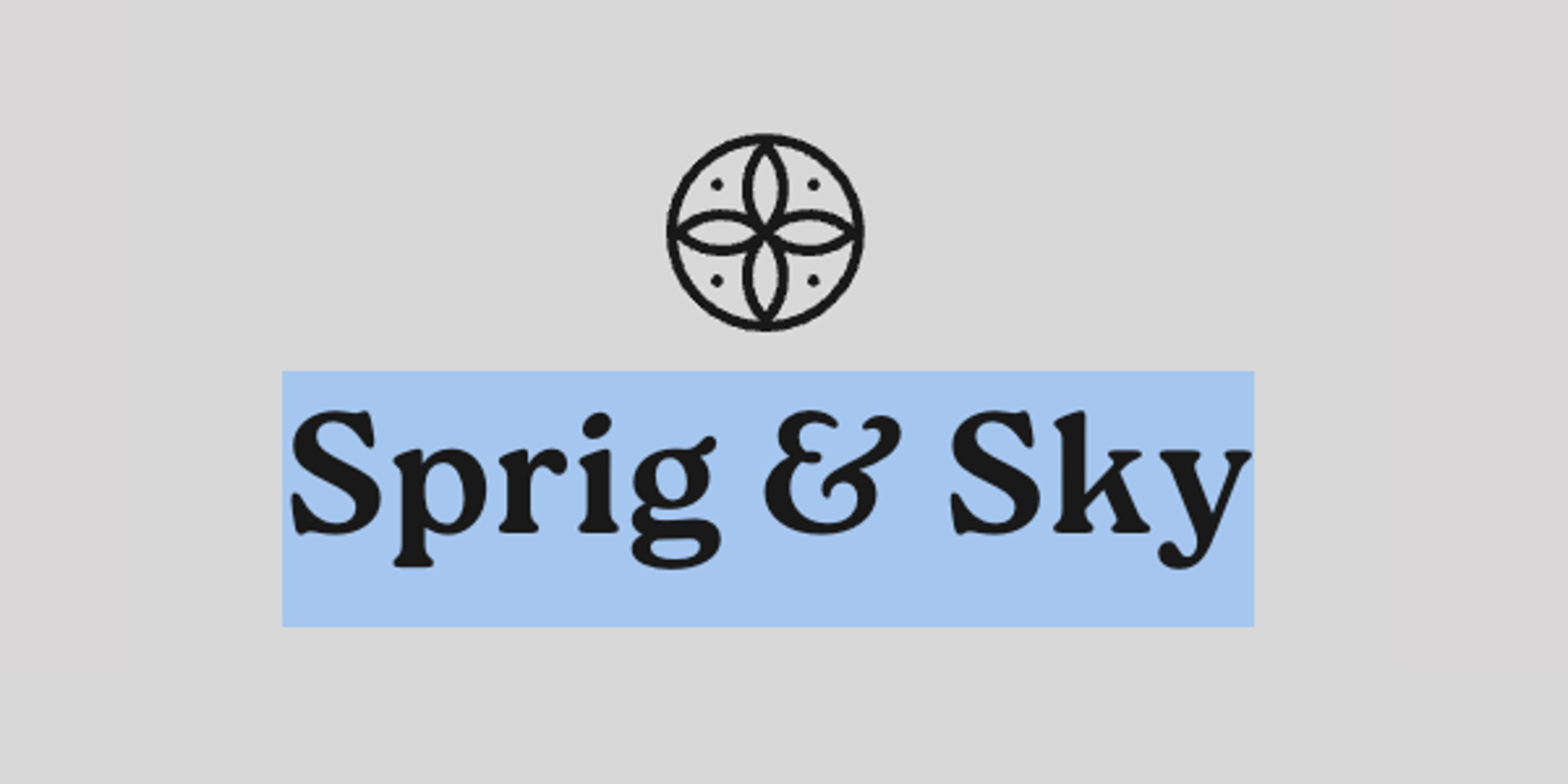 spring brand logo ? spring brand logo : 'a placeholder'